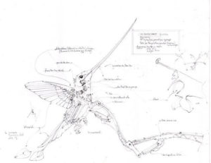 schéma-colibri-machine-de-lile-elephant-du-web
