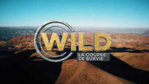 Wilde-course-de-survie-elephant-du-web